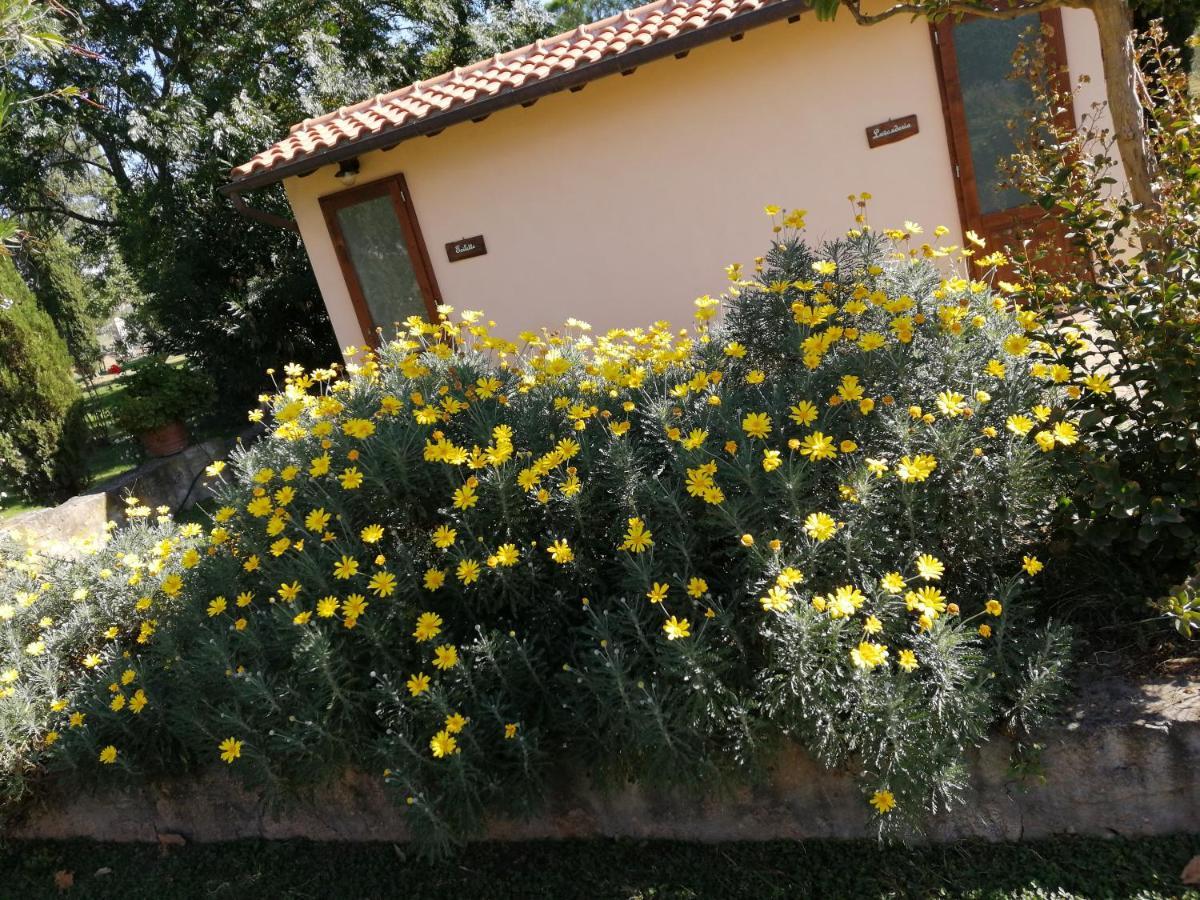 Il Podere Di Sole Roccastrada Exteriör bild