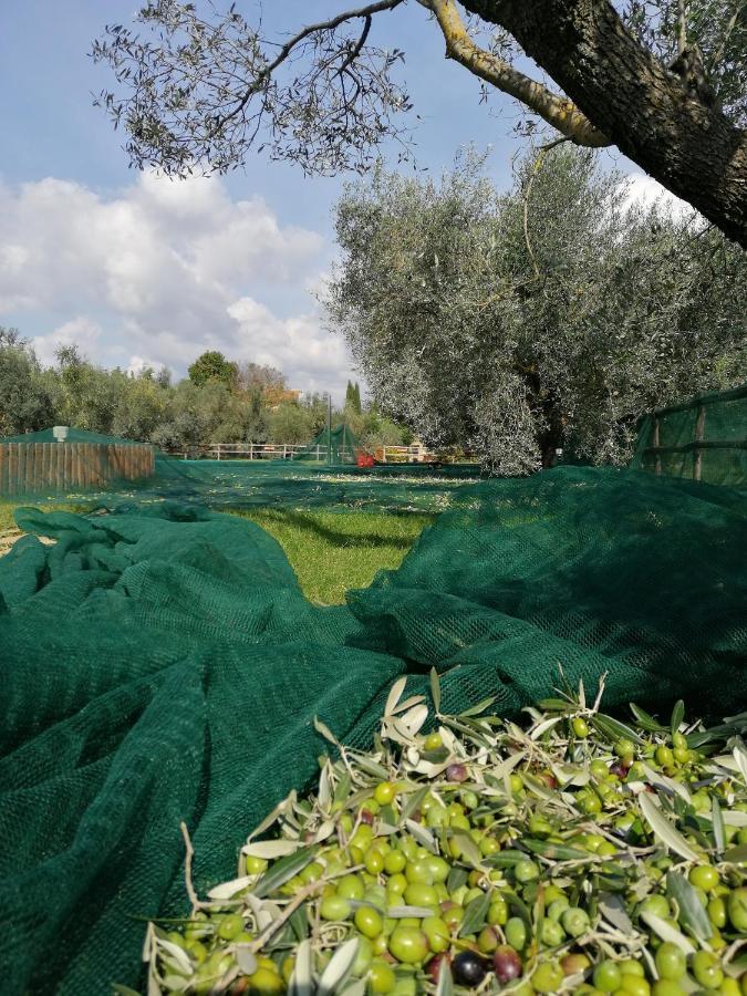 Il Podere Di Sole Roccastrada Exteriör bild