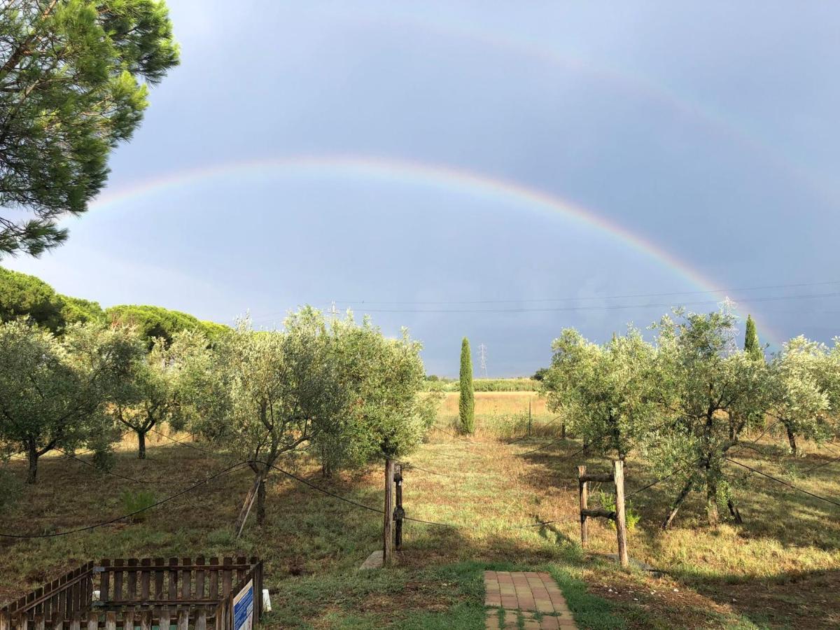 Il Podere Di Sole Roccastrada Exteriör bild