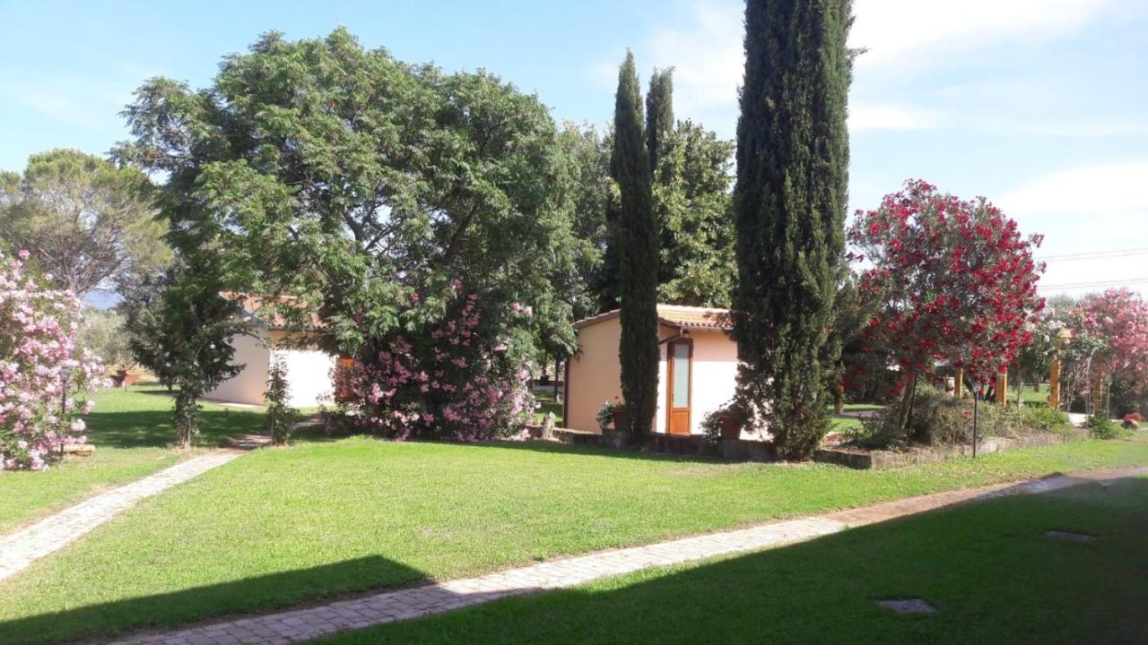 Il Podere Di Sole Roccastrada Exteriör bild